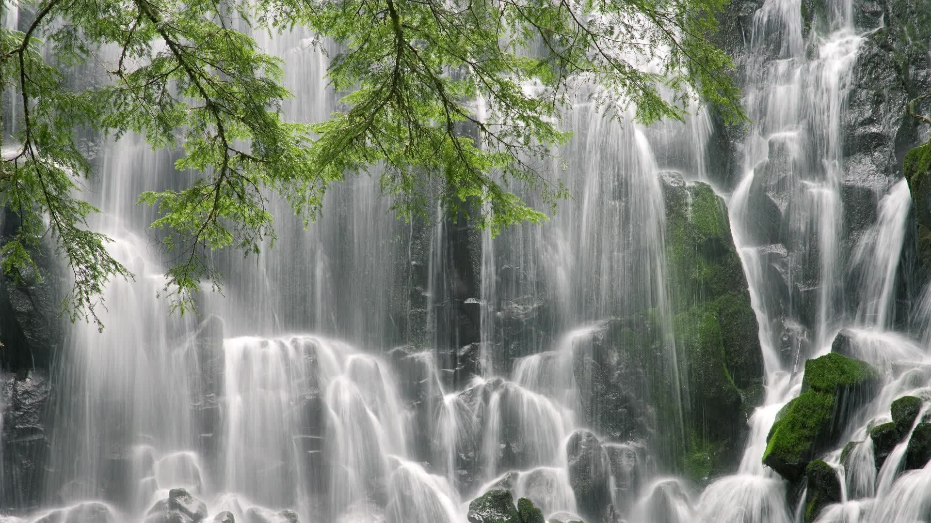 世界游泳锦标赛城市承办经济影响白皮书,世界游泳锦标赛的时间是